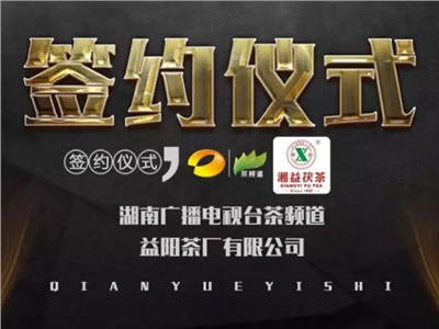 湘益茯，美茗揚 丨湘益茯茶與茶頻道達(dá)成長期戰(zhàn)略合作