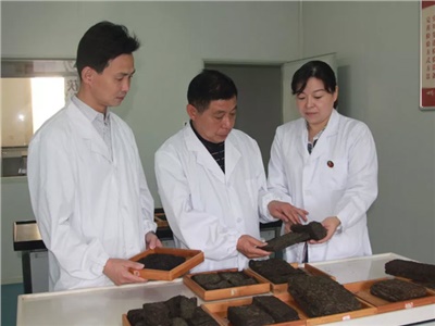 傳承茯茶非遺技藝、開拓創(chuàng)新引領(lǐng)行業(yè)發(fā)展