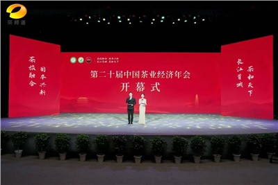 【聚焦第二十屆中國茶業(yè)經(jīng)濟年會】益陽茶廠榮獲“民族團結(jié)互助企業(yè)”、“2024年度茶業(yè)重點企業(yè)”榮譽稱號